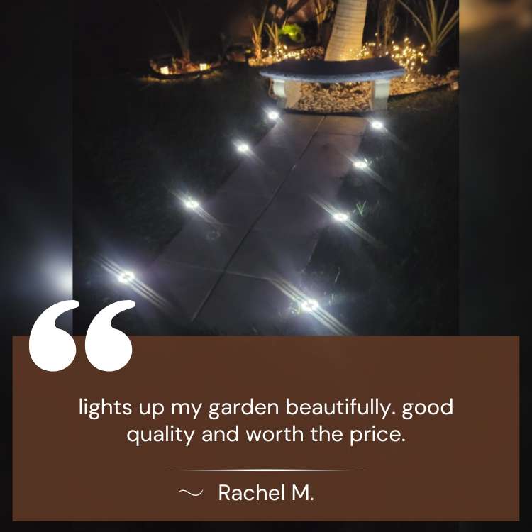 Garden Lights | Solar-Powered LED Pathway Lights with Weatherproof Design | Durable Lighting for Year-Round Use 5