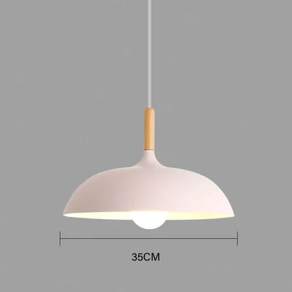 Blush pink 35cm macaron dome pendant light with oak wood stem