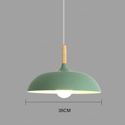 Sage green 35cm macaron dome pendant light with oak wood stem