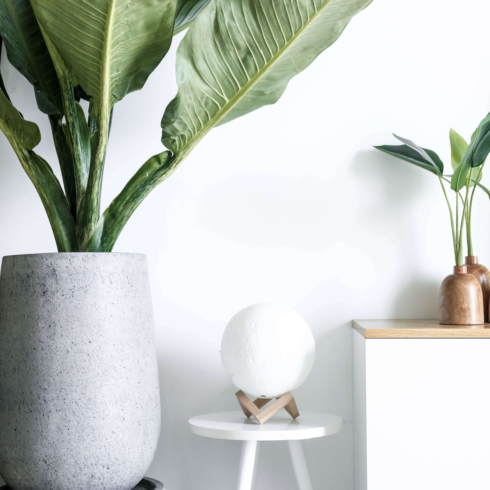 Lunar Glow | 3D Moon Light Lamp with Remote Control & Color Variations | Unique Home Decor for Ambiance 2