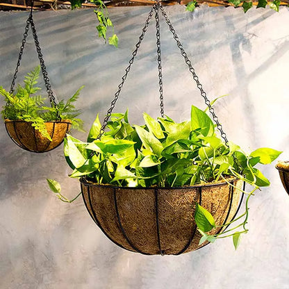 Hanging basket with flowers outdoor balcony patio display