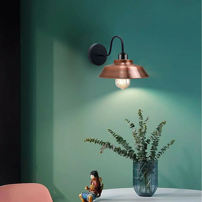 Gooseneck barn wall light in a bathroom