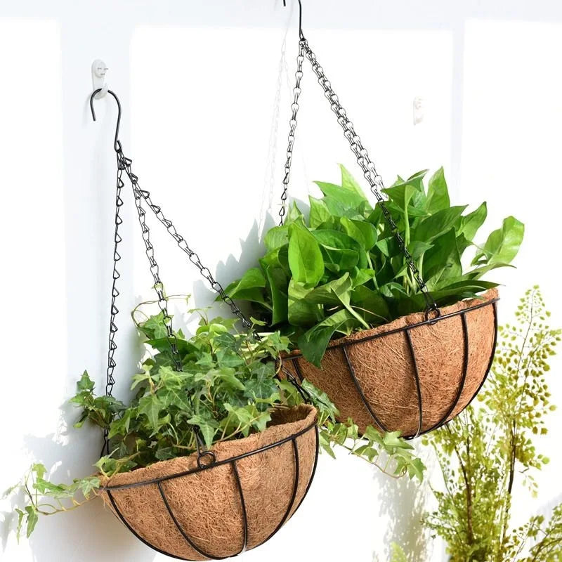 Wire hanging basket 10 inch size with trailing plants