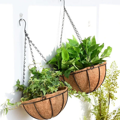 Wire hanging basket 10 inch size with trailing plants