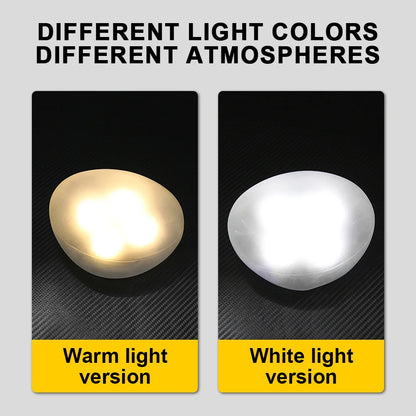 Solar Pebble Ground Light | Frosted Portable Garden Lantern