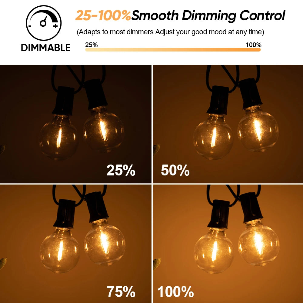 Solar Festoon Lights | G40 Globe Outdoor String Lights with Remote