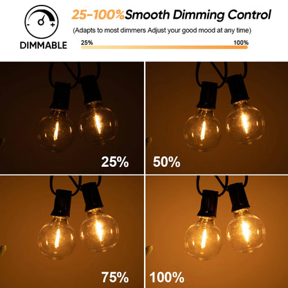 Solar Festoon Lights | G40 Globe Outdoor String Lights with Remote
