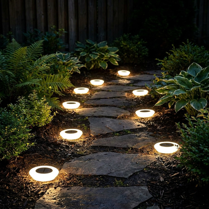 Solar LED pathway lights - warm white glow lining a garden path at dusk