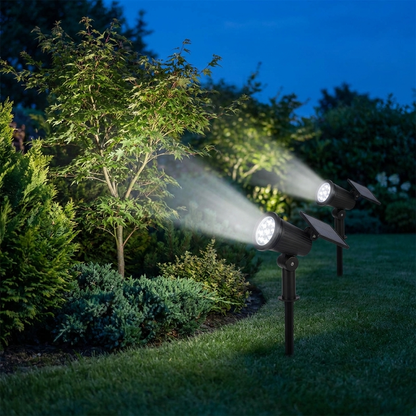 Solar garden spotlights with white light uplighting a tree